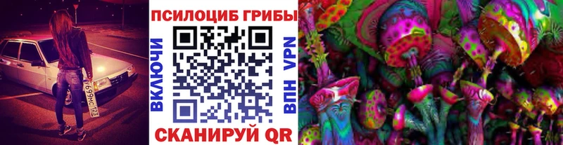 hydra маркетплейс где купить наркоту Алейск Псилоцибиновые грибы ЛСД