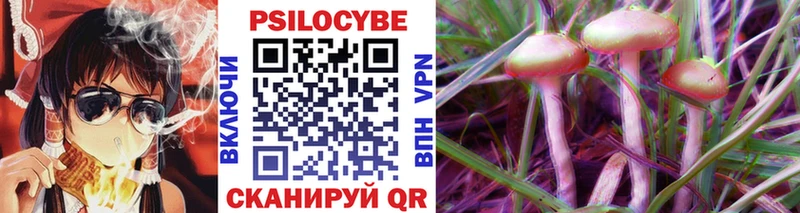 Псилоцибиновые грибы Psilocybine cubensis Алейск